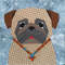 pug dog.jpg