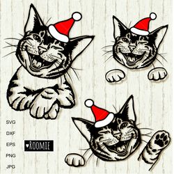 christmas cats with santa hats svg files cricut, new year cat, christmas animals clipart, kitty portrait vinyl cameo