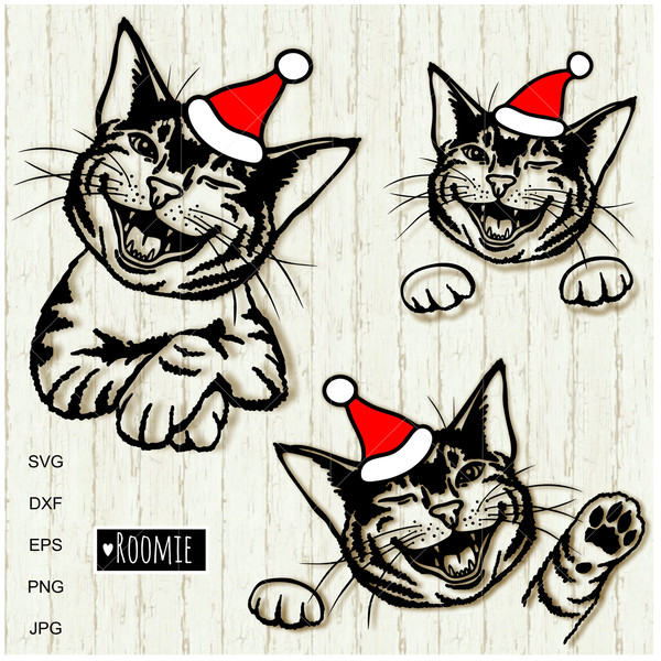 Christmas Cats in Santa hat clipart.jpg