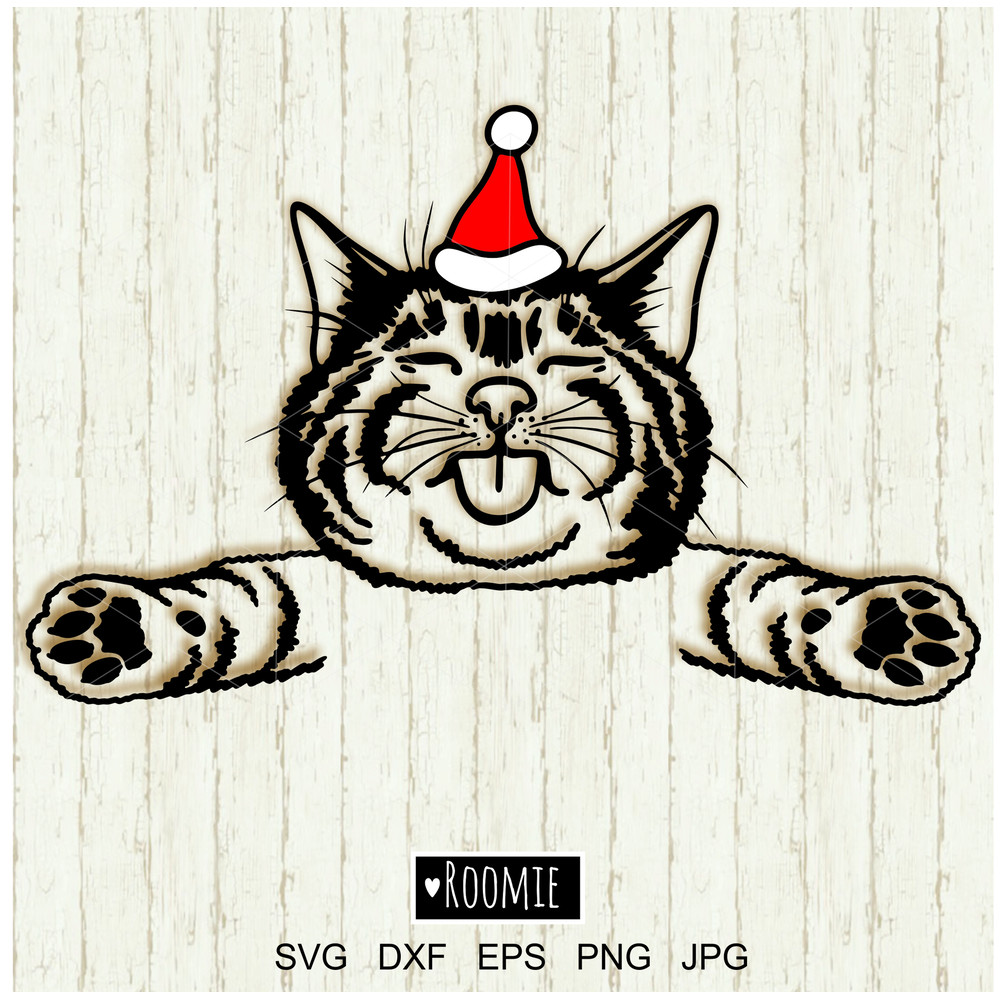 Christmas Cat in Santa hat clipart.jpg