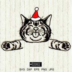 Cute Christmas Cat With Santa Hat SVG Files Cricut, New Year Cat, Christmas Animals Clipart, Kitty Portrait Vinyl Cameo