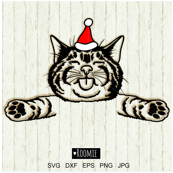 Christmas Cat in Santa hat clipart.jpg