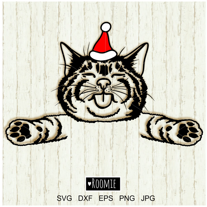 Christmas Cat in Santa hat clipart.jpg