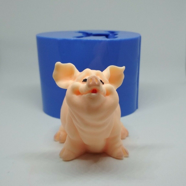 Cute soap piggy