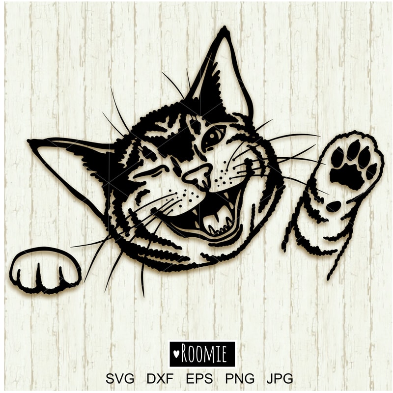 Funny Cat Portrait clipart.jpg