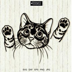 Cute Cat Shirt Design SVG Cricut, Peeking Cats clipart, Kitty, Cat Mom Vinyl Cameo Silhouette Papercut Cut Files