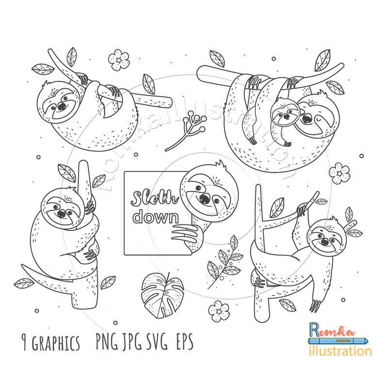 sloth2.jpg