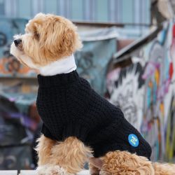 Trendy knitted sweater for a dog. Clothes for dogs. Jumper for a small dog. Size M. Length 15 inches.