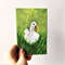 White duck in the meadow small impasto painting 1