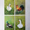 Handwritten-farm-birds-set-of-four-paintings-by-acrylic-paint-3.jpg