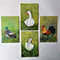 Handwritten-farm-birds-set-of-four-paintings-by-acrylic-paint-4.jpg