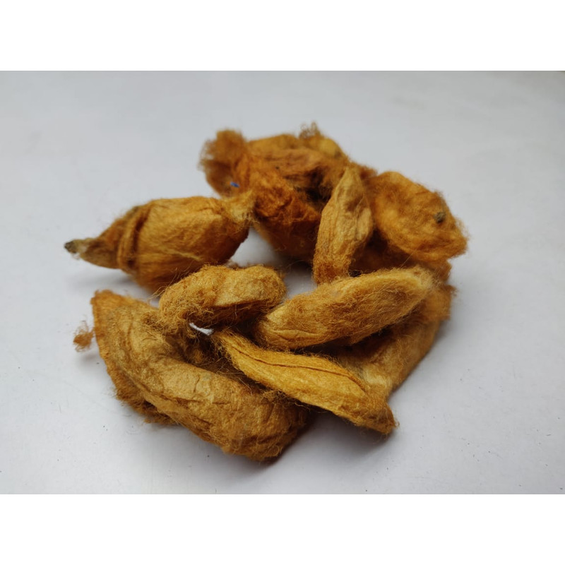 Red Eri Cocoon - SilkRouteIndia - Wild Cocoon (2).jpg