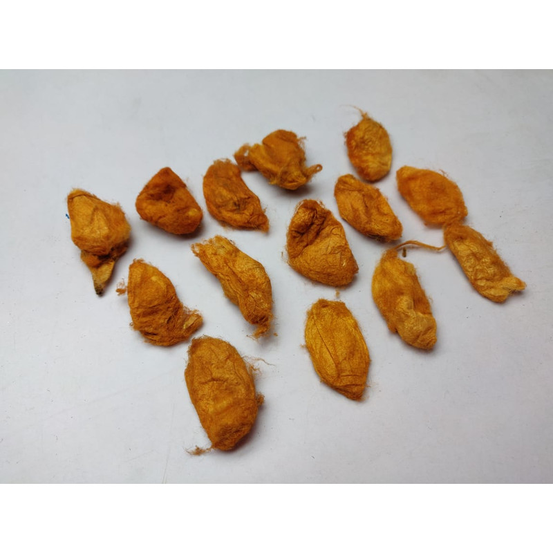 Red Eri Cocoon - SilkRouteIndia - Wild Cocoon (5).jpg