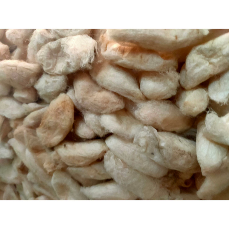 Mulberry White Eri Cocoon - SilkRouteIndia (4).jpg