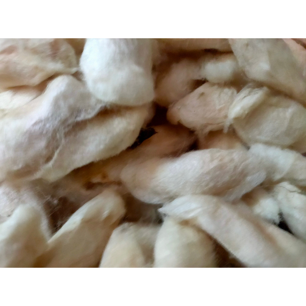 Mulberry White Eri Cocoon - SilkRouteIndia (7).jpg