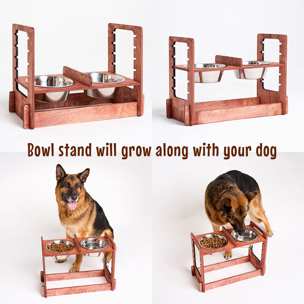 elevated-feeder-dog-bowls-stand.jpg