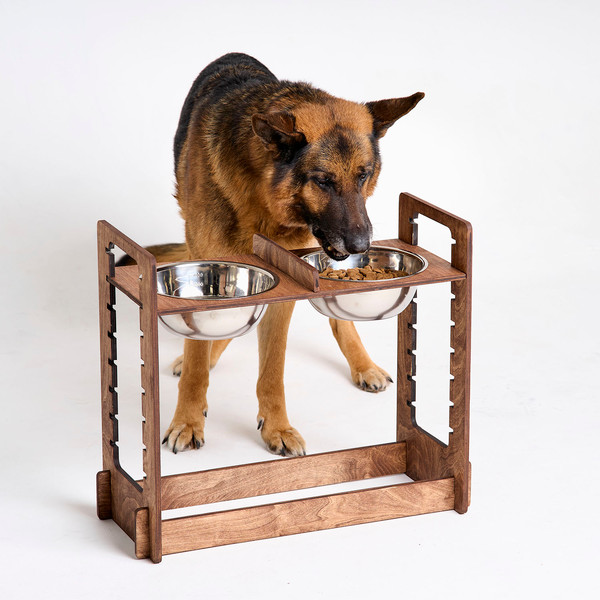 raised-dog-bowls-for-extra-large-dogs.jpg
