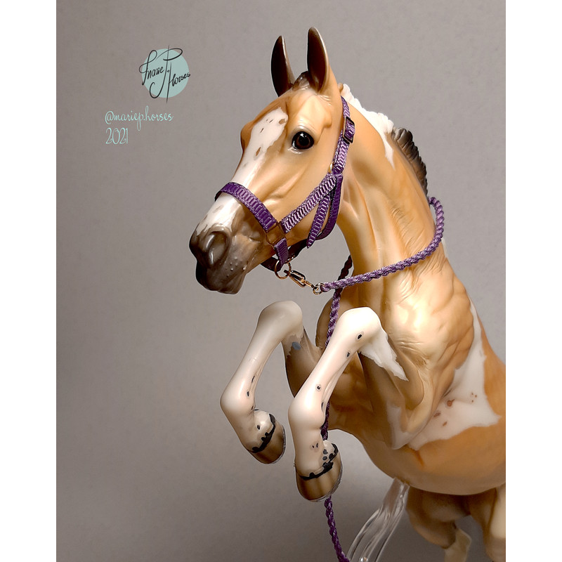 breyer halter 41 .png
