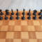 wood_plastic_chess6.jpg