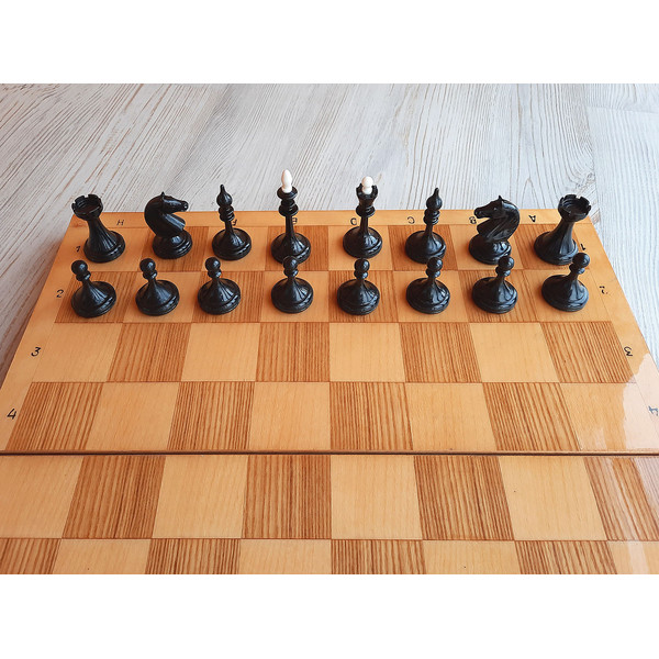 wood_plastic_chess6.jpg