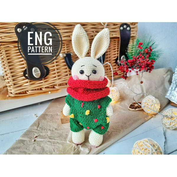 Bunny in costume crochet pattern.jpg