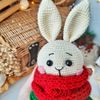 Stuffed toy bunny in costume crochet pattern.jpg