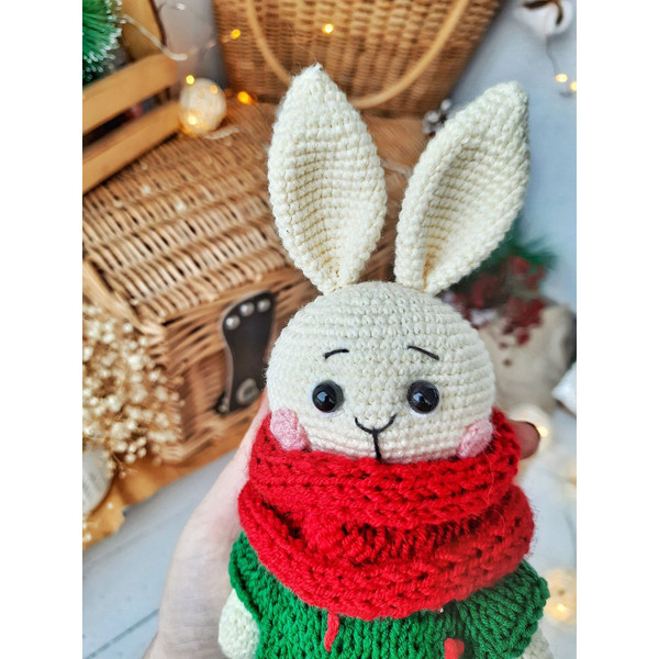 Stuffed toy bunny in costume crochet pattern.jpg