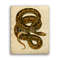 atrophis_tigris-print.jpg