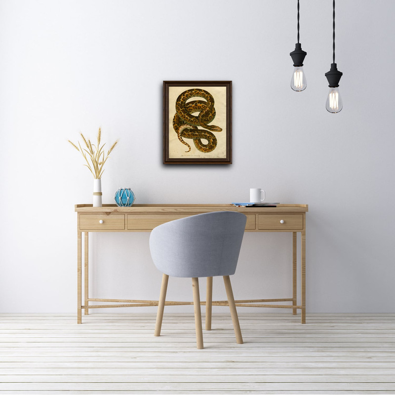 atrophis_tigris-room.jpg