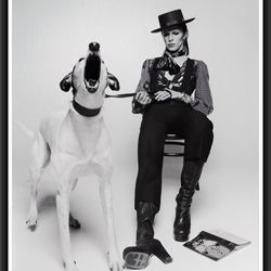 David Bowie Dogs Jumping Terry O'Neill Vintage Music Poster, Black and White,  Teen Room Decor Aesthetic Poster, 70s