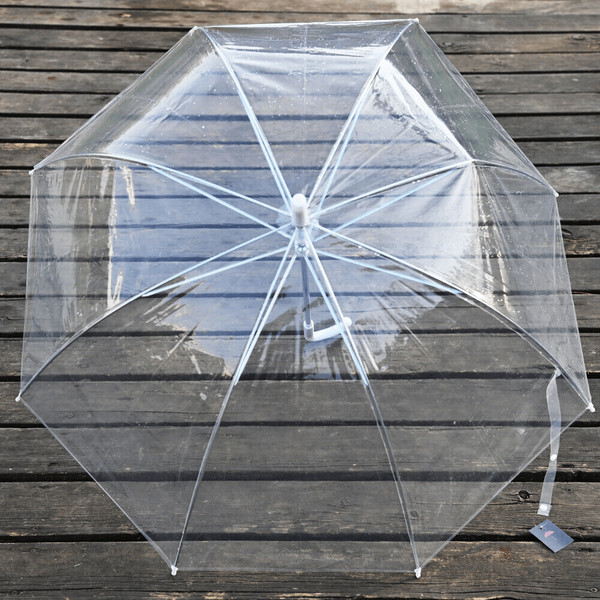 clearbubbleumbrella5.png