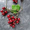 necklace-red-currant-berries-on-bronze-branches-and-chains-2.jpg