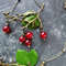 bracelet-red-currant-berries-on-bronze-branches-and-chains-2.jpg