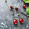 stud-earrings-red-currant-berries-on-bronze-chains.jpg