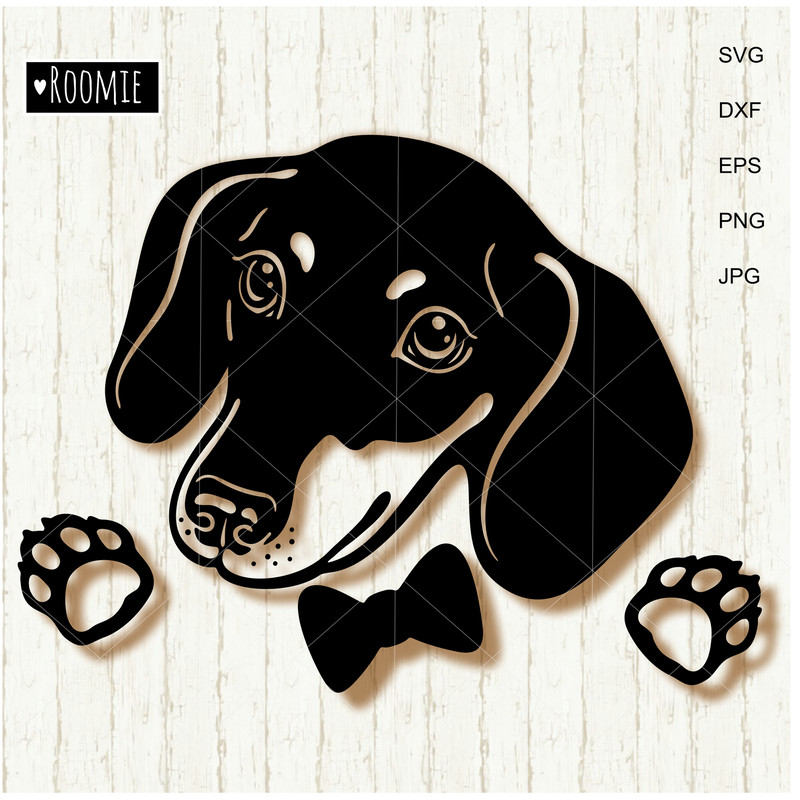 Dachshund boy with bow.jpg