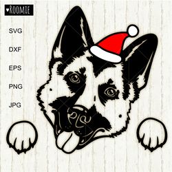 christmas german shepherd with santa hat svg, shepherd lovers gift, shirt design cut file cricut silhouette /65