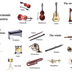 instructional poster - philharmonic orchestra instruments isolated on white background
