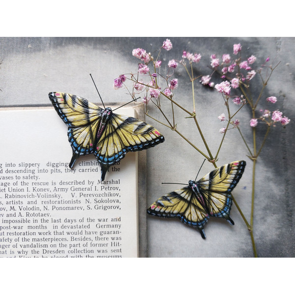 Yellow butterfly swallowtail sits on a book