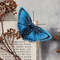 blue butterfly sits on a book