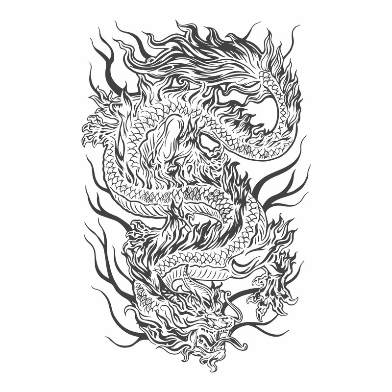 dragons24.jpg