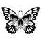 Skull Butterfly svg2.jpg