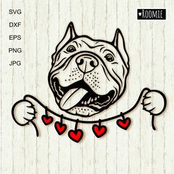 American pit bull terrier SVG, Valentine pitbull lover gift Shirt design, pit bull mom, Dog Cricut Silhouette Vinyl /88