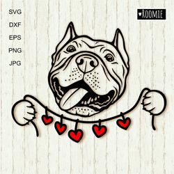 american pit bull terrier svg, valentine pitbull lover gift shirt design, pit bull mom, dog cricut silhouette vinyl /88