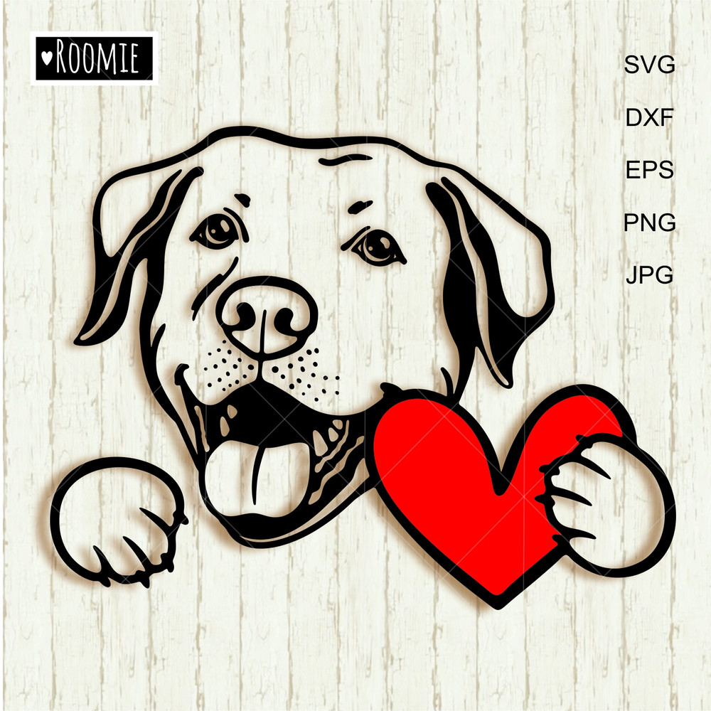 Labrador Retriever with heart.jpg