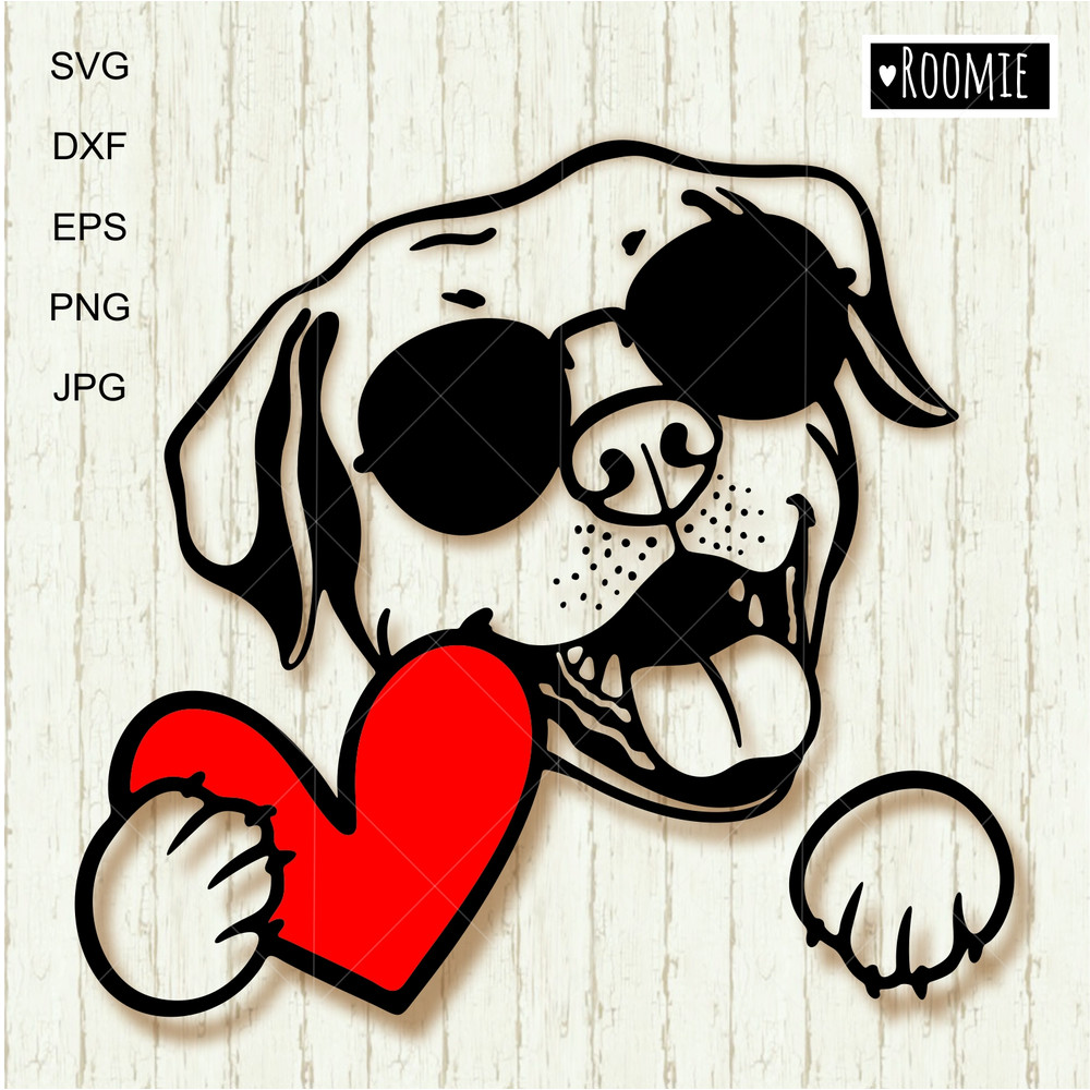 Labrador Retriever with heart and sunglasses.jpg