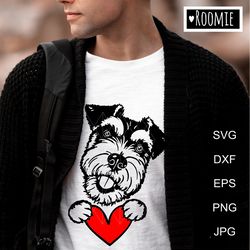miniature schnauzer with heart svg, scott terrier, peeking dog shirt design car decal clipart cut file cricut /95