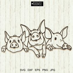 Pigs SVG, Pig face svg, Farm animals clipart, Piggy cut file, Farmhouse, Piglet portrait Cricut Vinyl Cameo Silhouette