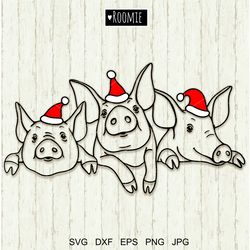 Christmas Pigs SVG, Pig face svg, Farm animals clipart, Piggy cut file, Farmhouse, Piglet portrait Cricut Vinyl Cameo