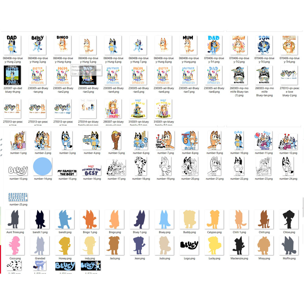 bluey 750 file 4.jpg