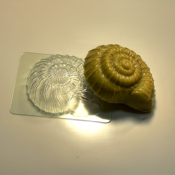 Seashell soap and plastic mold